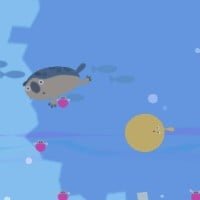 swim2