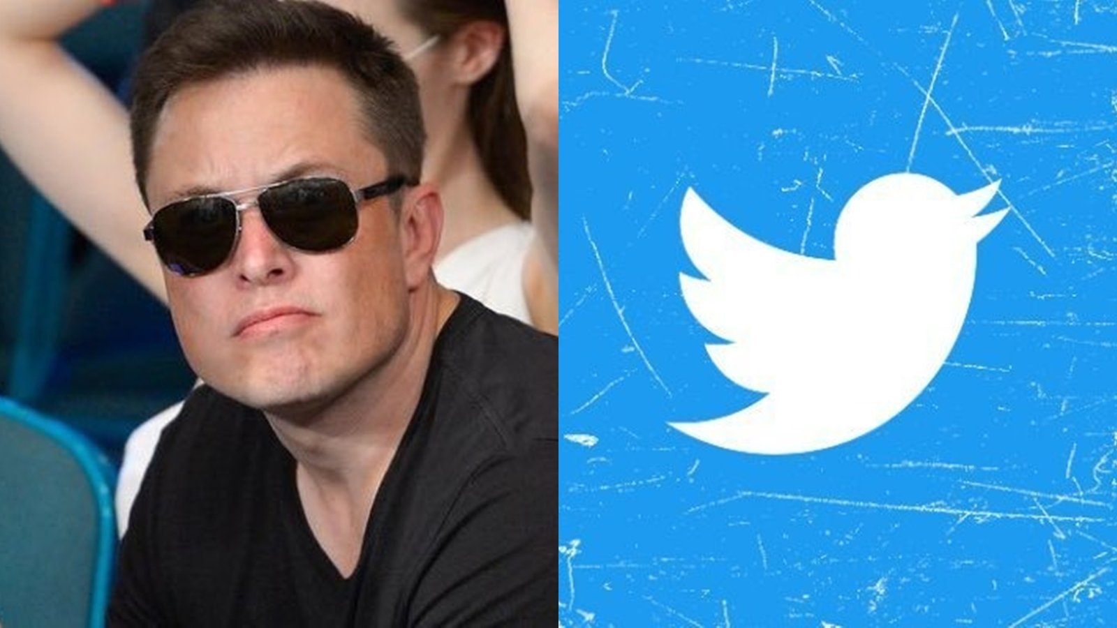 Elon Musk compra Twitter